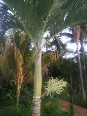 Casa para quem gosta de curtir a natureza!